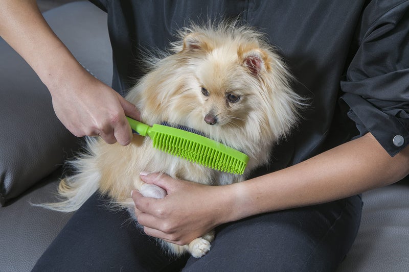 FURemover Plus Pet Hair Rubber Brush with Squeegee, Easily Remove Fur and Lint from Clothing, Carpets and Furniture, Gently Groom Dogs and Cats Wet or Dry, Black, 2 Pack - Image 5